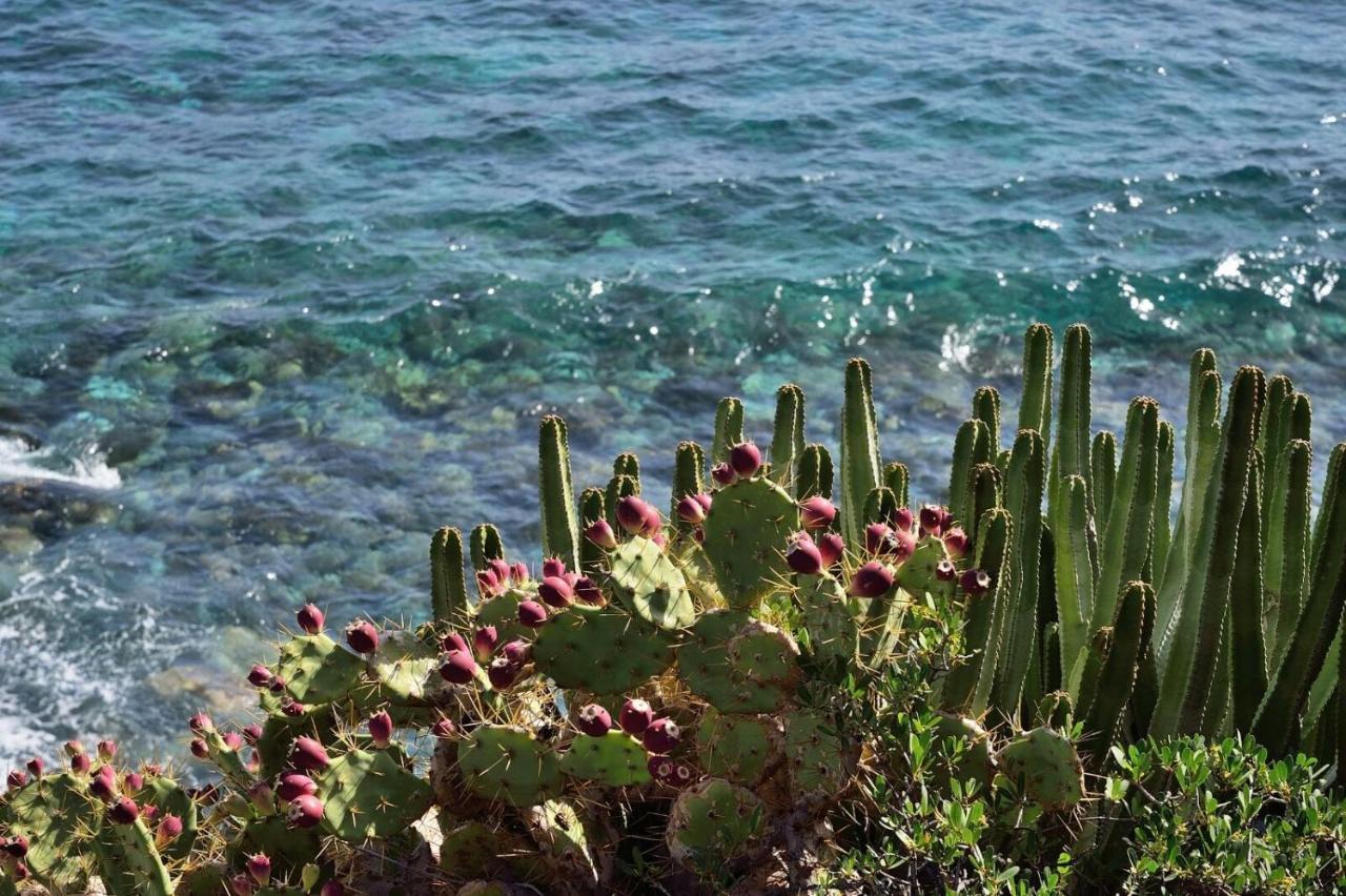 Aparthotel El Cerrito Playa Cancajos.- BreNa Baja  Kültér fotó